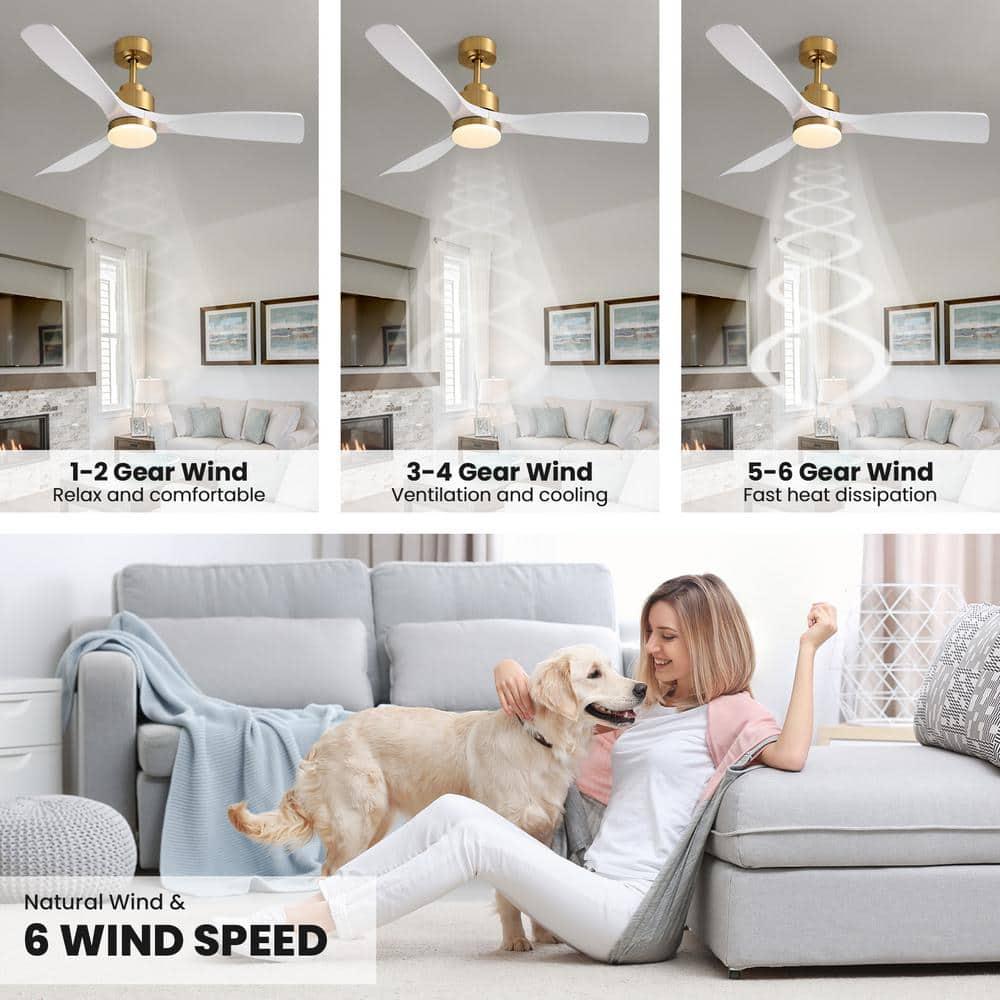 52 Inch Gold White Smart Ceiling Fans with Lights and Remote,Quiet DC Motor,for Modern Bedroom Living Room Patio