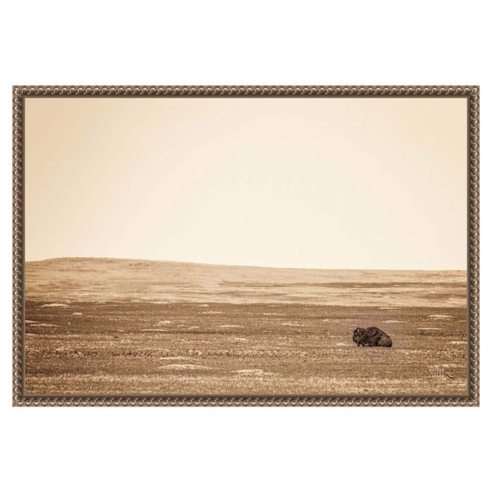 Amanti Art Badlands Bison Sepia by Nathan Larson Canvas Wall Art Print Framed 23 x 16-in.