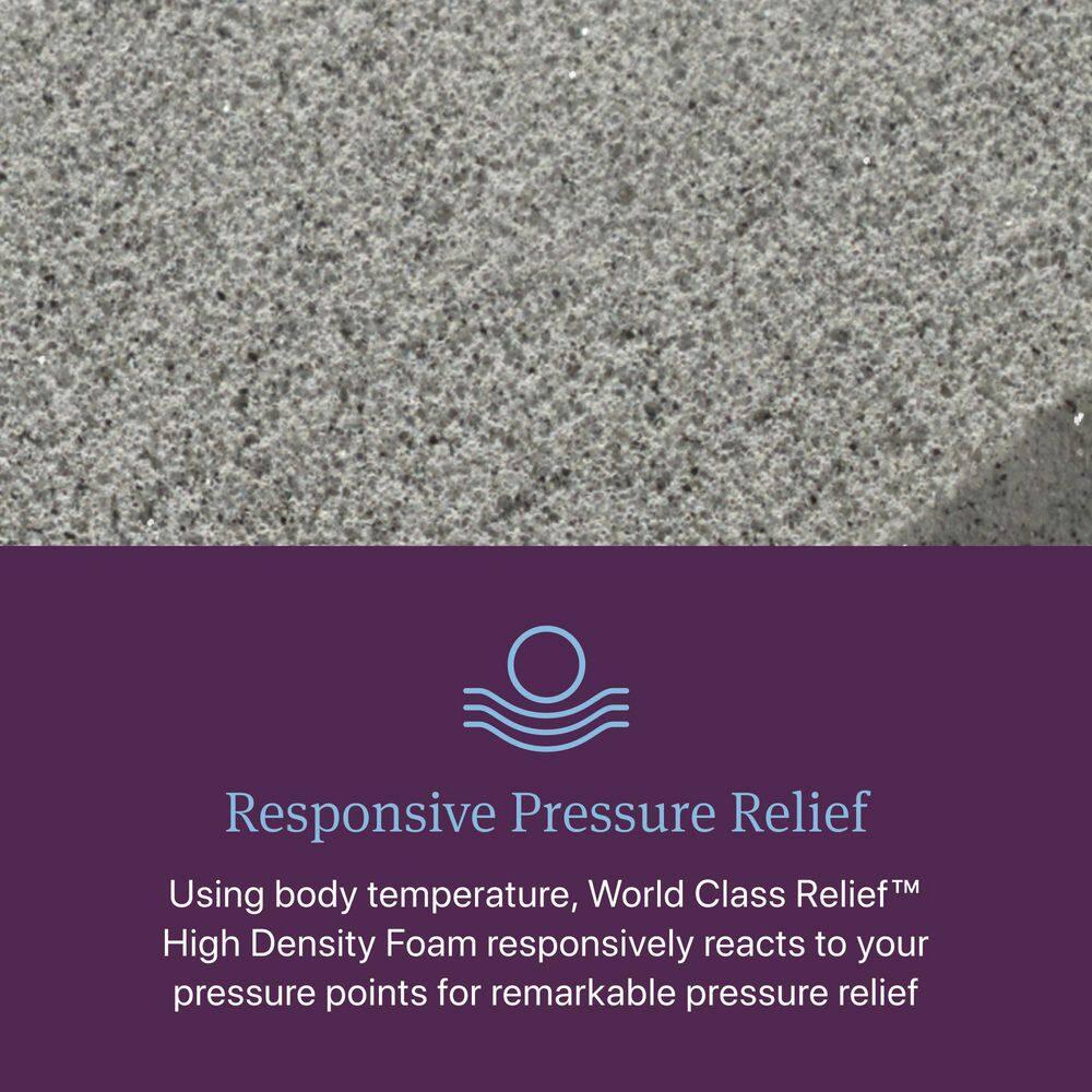 Beautyrest Beautyrest World Class Level Three Firm Smooth Top Mattress