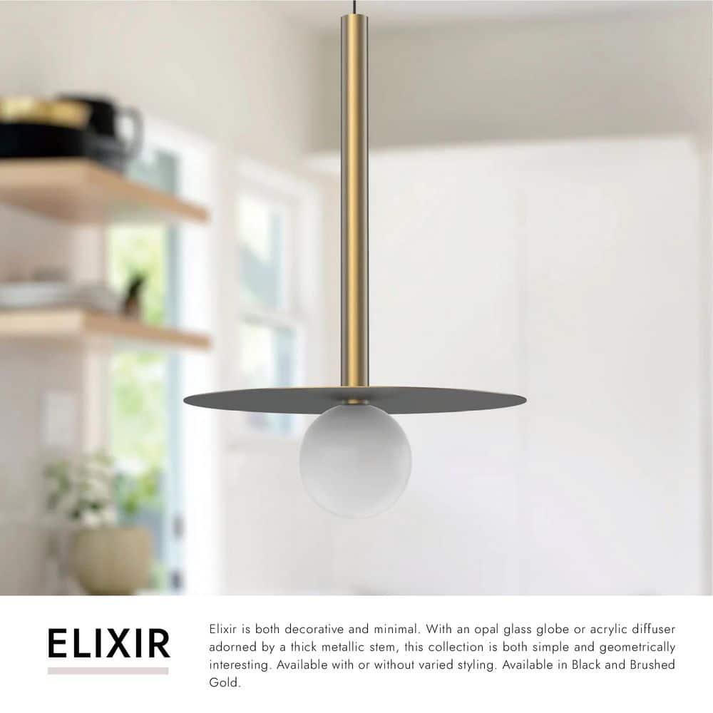 Black Glass LED Indoor/Outdoor Globe Pendant Light