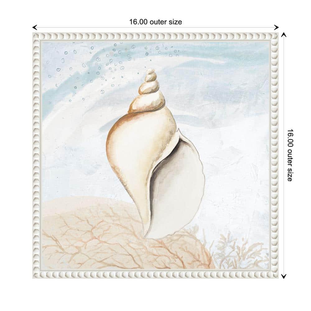 Amanti Art Ocean Oasis Tropical Seashell I by Patricia Pinto Canvas Wall Art Print Framed 16 x 16-in.