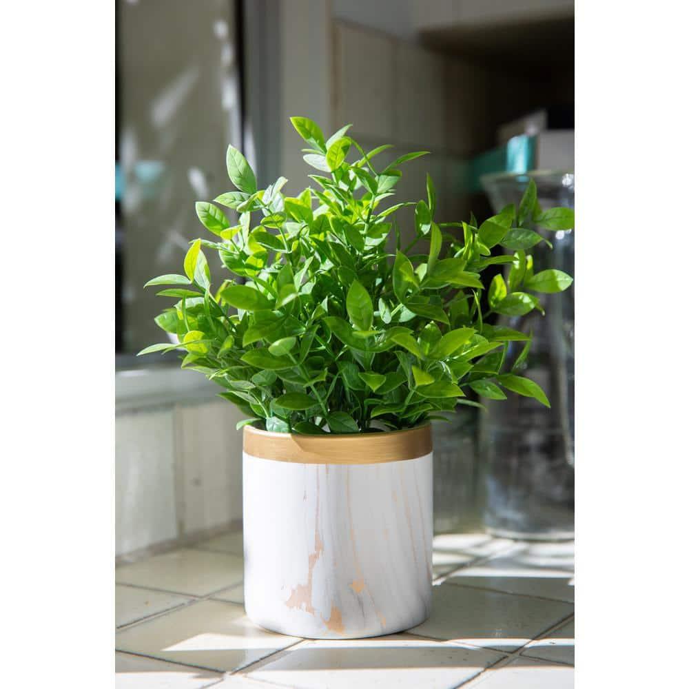 Flora Bunda CS5172E-GD Tea leaf in GD Marble 4.5' Ceramic Pot