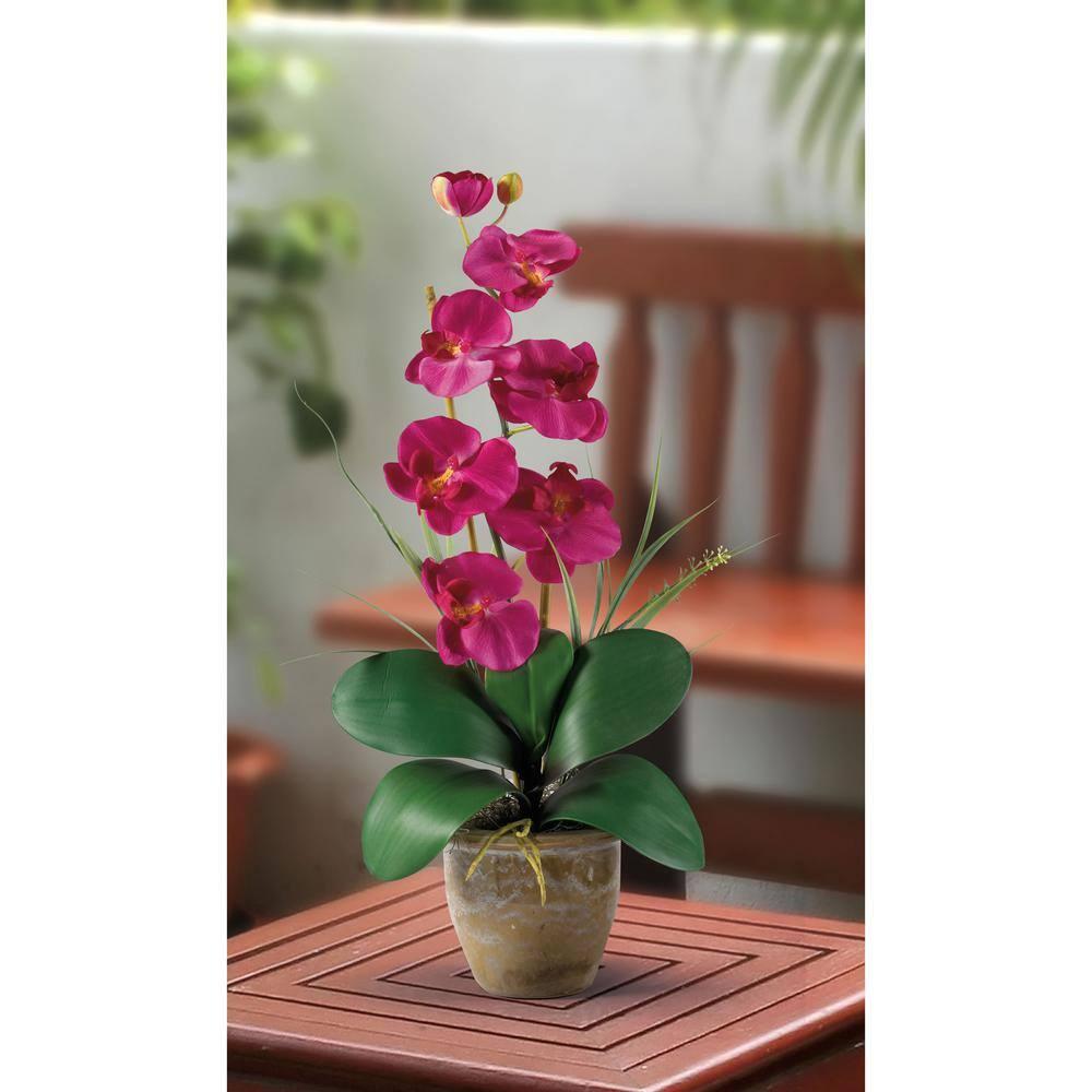 Nearly Natural Phalaenopsis Silk Orchid Flower Arrangement, Beauty
