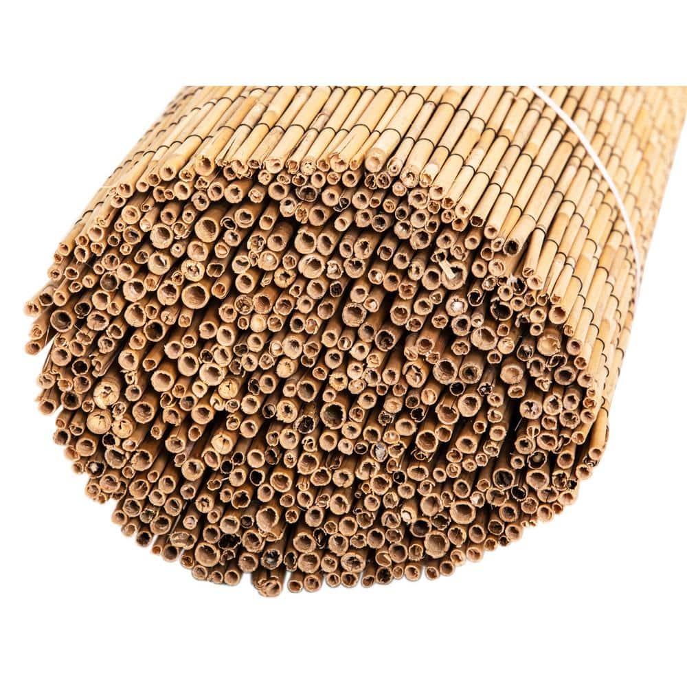 Backyard X-Scapes 6 ft. H x 16 ft. W Natural Jumbo Reed Fence Decorative Garden Fencing Divider
