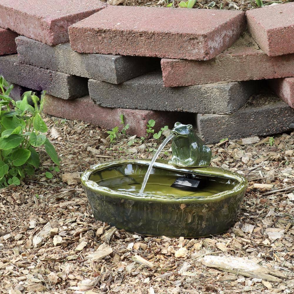 Sunnydaze Outdoor Solar Powered Ceramic Spitting Frog Water Fountain with Submersible Pump - 7" - Green