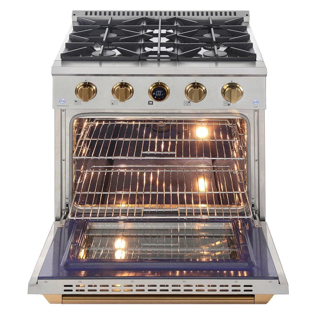 30 in. 4.2 cu.ft. 4-Burners Dual Fuel Range Propane Gas in Stainless Steel Steel