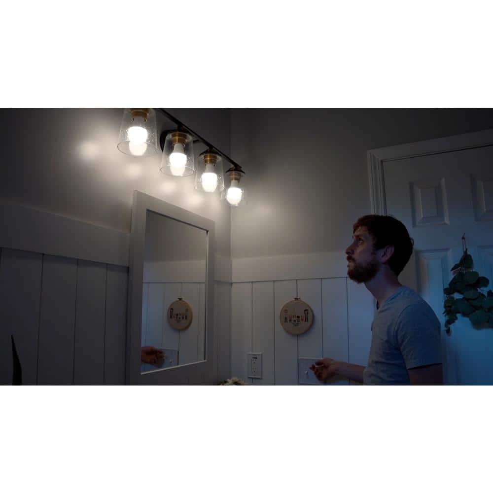 EcoSmart LED 8.5W (60W Equivalent) Daylight General Purpose Led Lights, Dimmable (4 Pack)