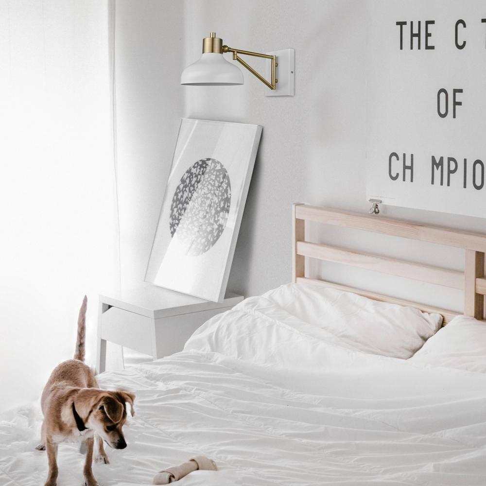 Globe Electric Berkeley 1-Light White and Brass Plug-in or Hardwire Swing Arm Indoor Wall Sconce