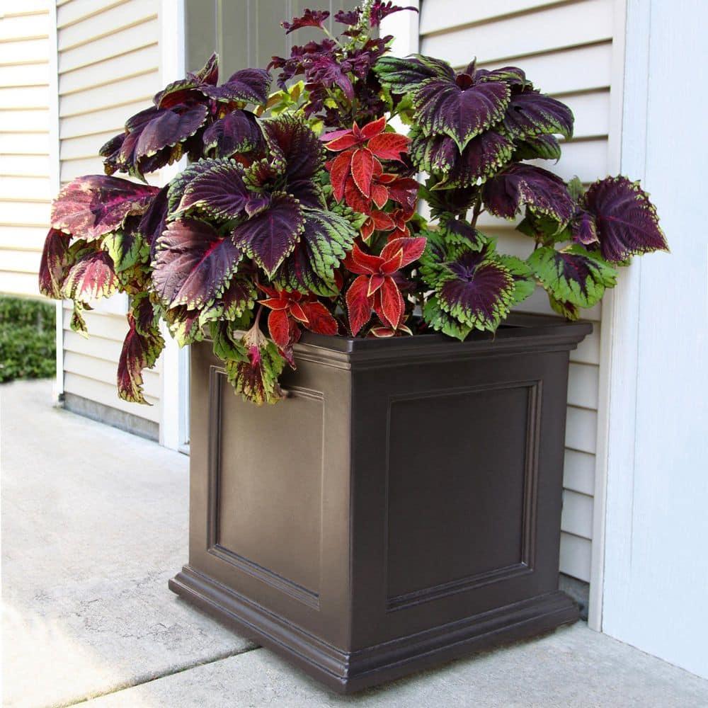 Mayne Fairfield 20" x 20" x 20" Square Espresso Self Watering Plastic Planter