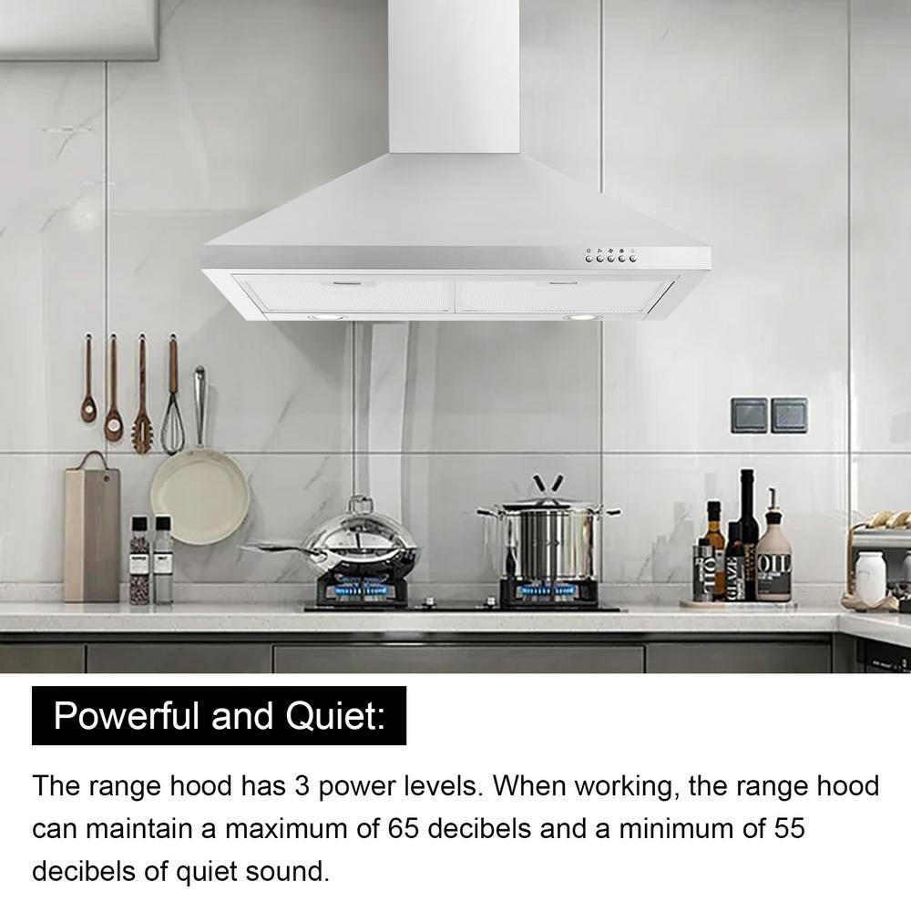 FIREGAS Range Hood 30 inch Wall Mount Type with Ducted/Ductless Convertible, 450 CFM Stainless Steel Chimney-Style Kitchen Hood, Over Stove Vent Hood with 3 Speed Fan, LED Light, Charcoal Filters