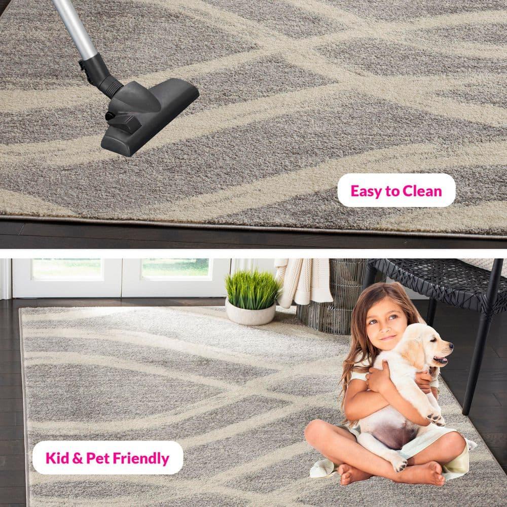 Adirondack ADR125 Machine Made Indoor Area Rug - Grey/Cream - 6'x9' - Safavieh