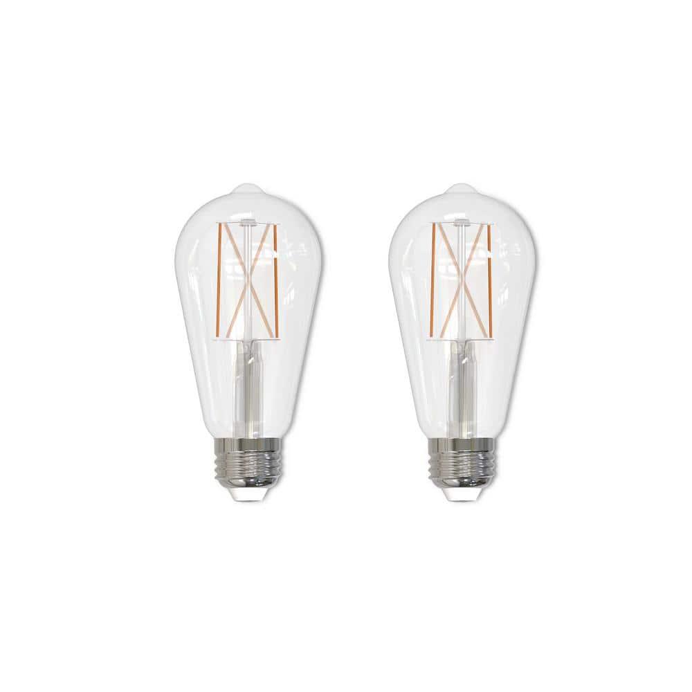 Bulbrite Industries 861424 60 Watt Equivalent ST18 E26/Medium (Standard) Dimmable 3000K LED Bulb (Set of 2)