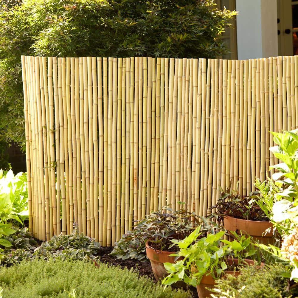 4 ft. H x 6 ft. W Natural Bamboo Fence