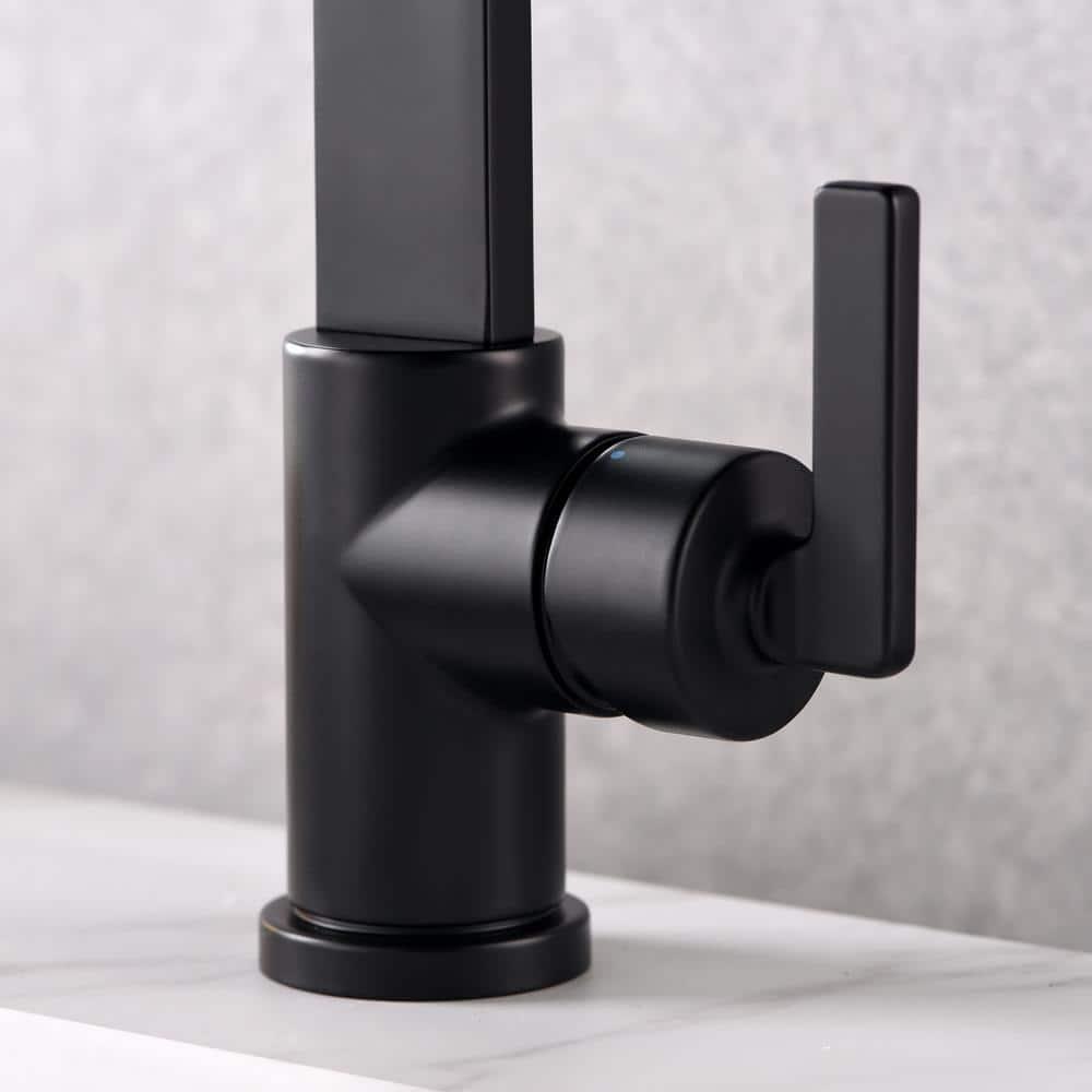 Single Hole Bathroom Faucet with Drain Assembly