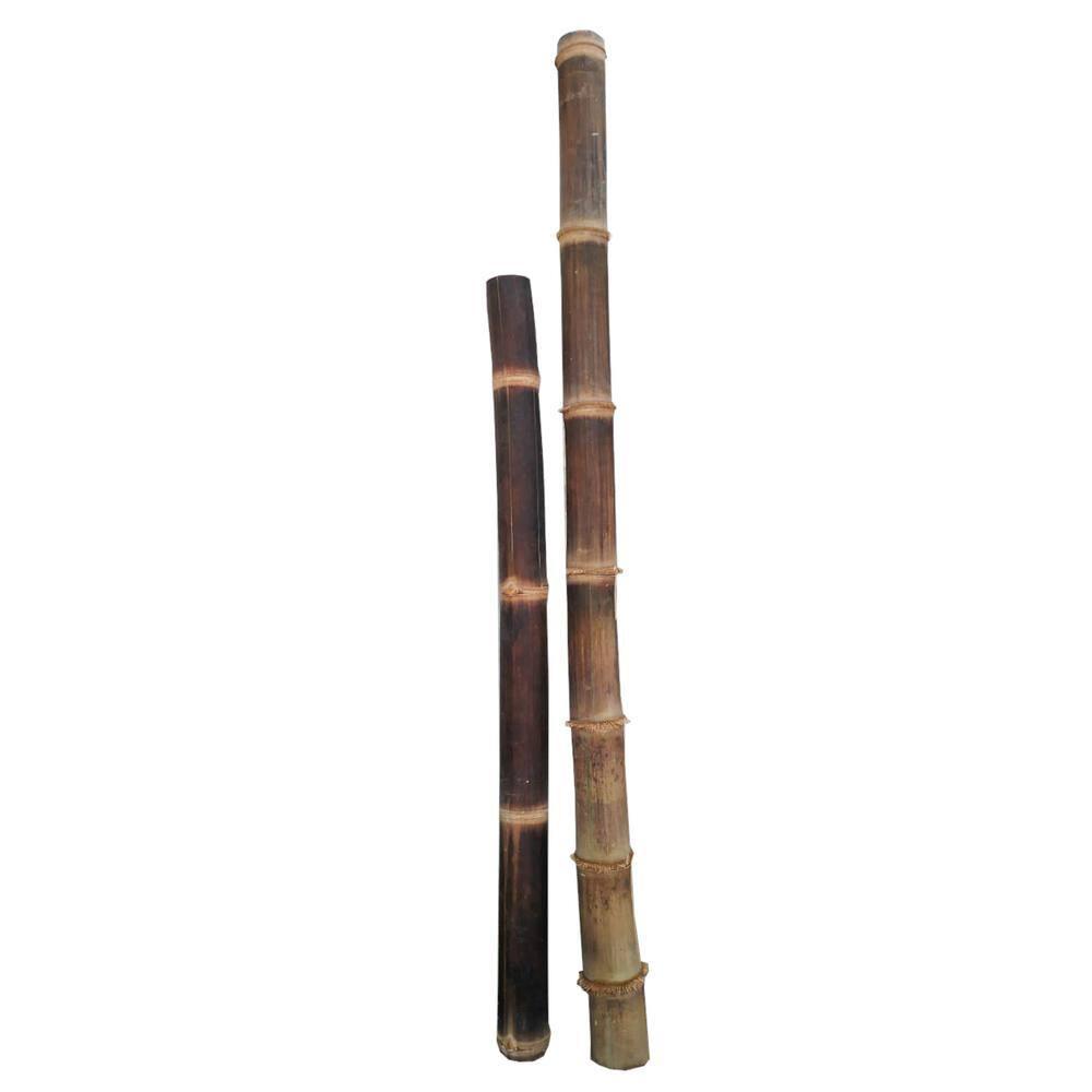MGP Giant Black Timber Bamboo Poles | Wayfair
