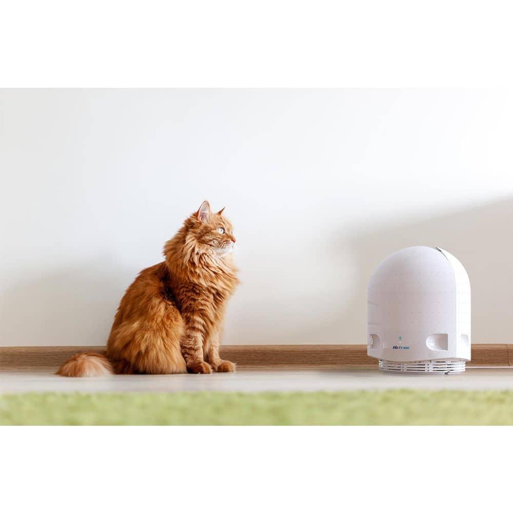 550 sq. ft, Filter-Free Technology, Patented Thermodynamic TSS Air Purifier, White, Destroys Mold, Silent Operation