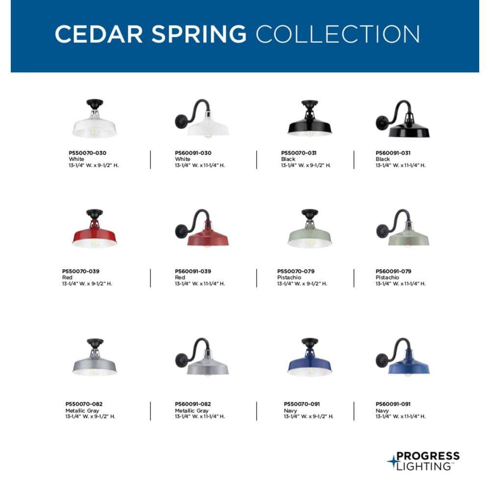 Cedar Springs Collection Pistachio One-Light Semi-Flush Mount
