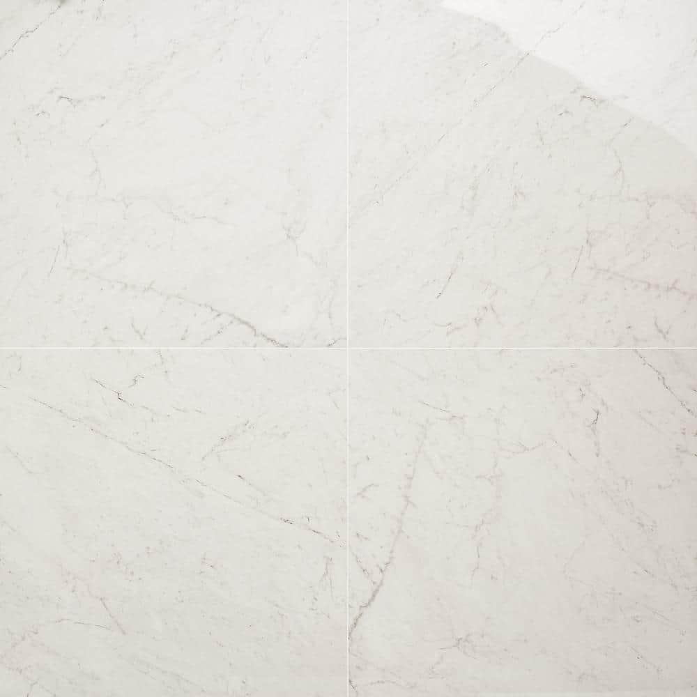 24" x 24" Polished Marble Look Porcelain Floor and Wall Tile (15.5 Sq. Ft. / Case)