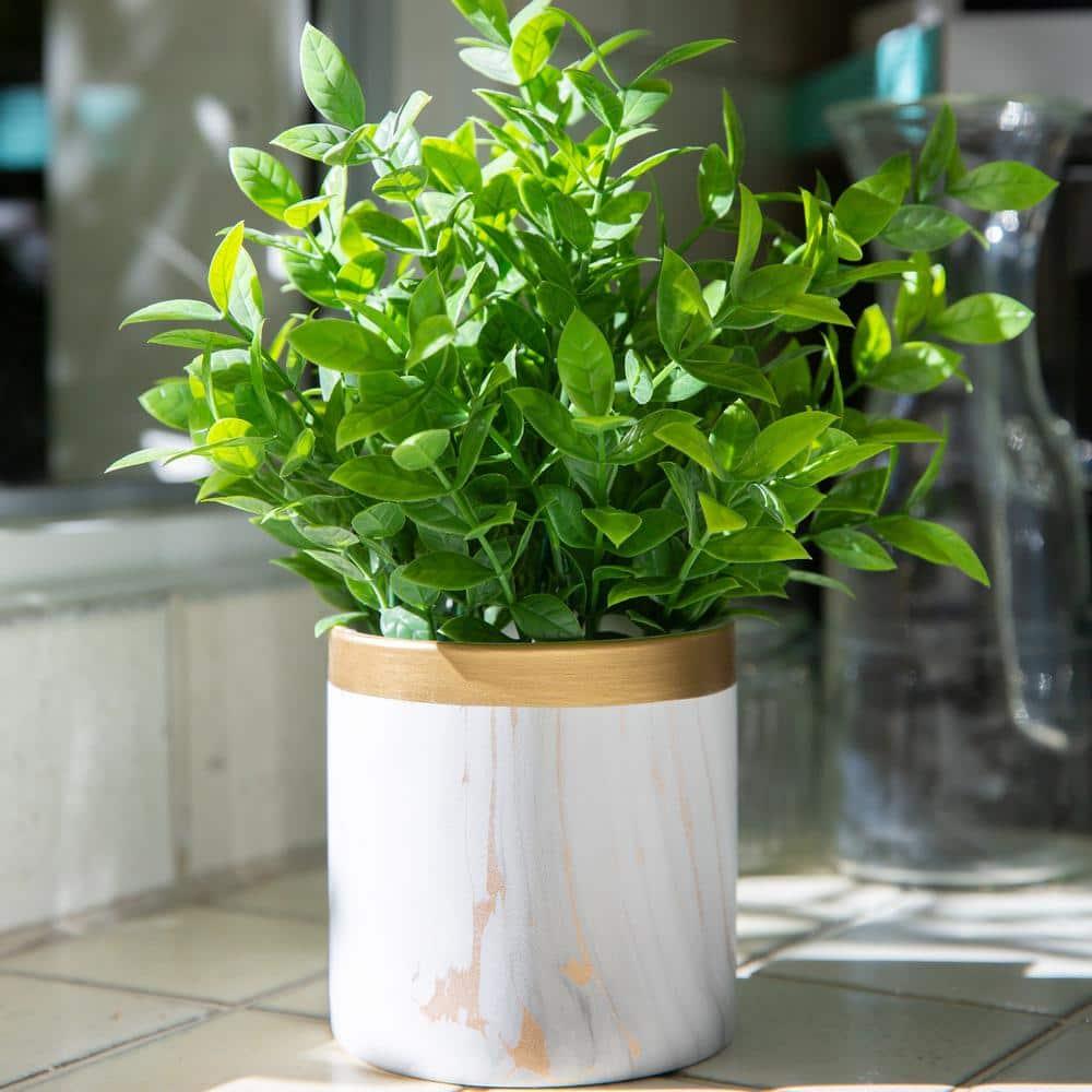 Flora Bunda CS5172E-GD Tea leaf in GD Marble 4.5' Ceramic Pot