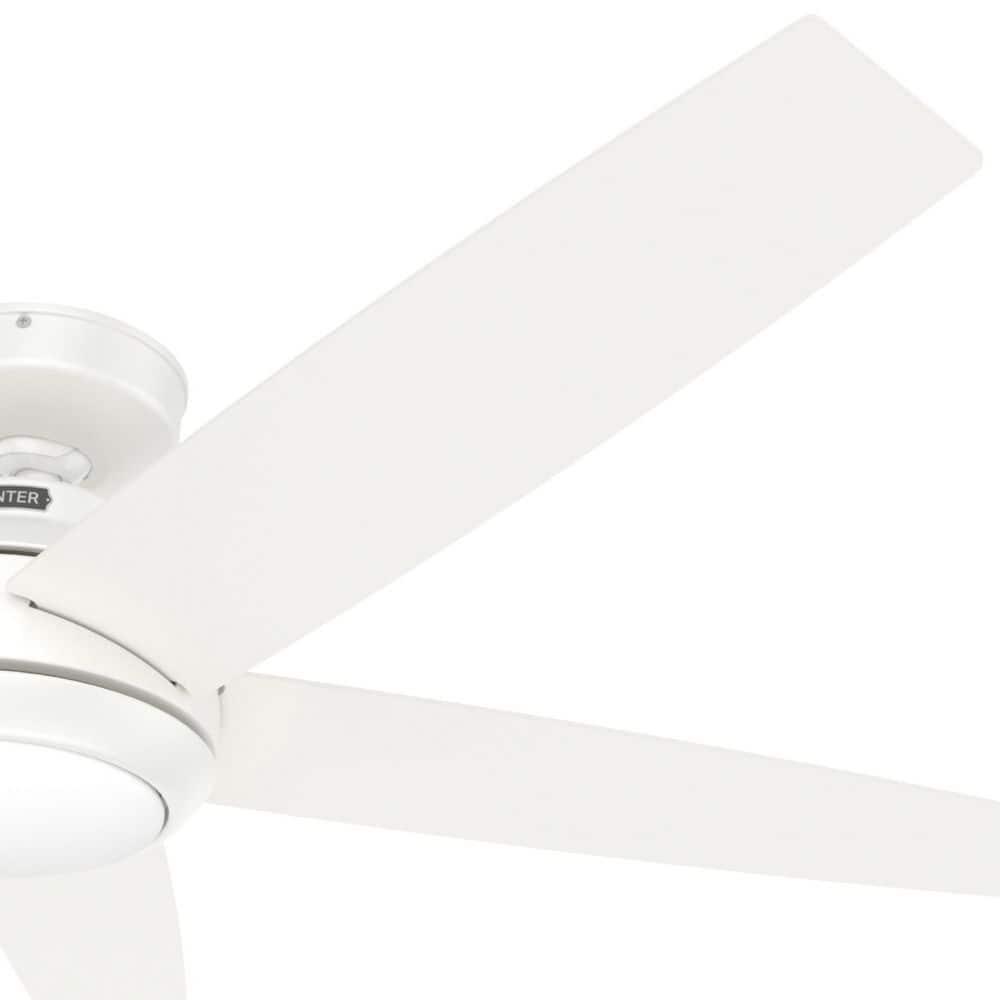 52" Zayden 5 - Blade Ceiling Fan With Lights and Remote