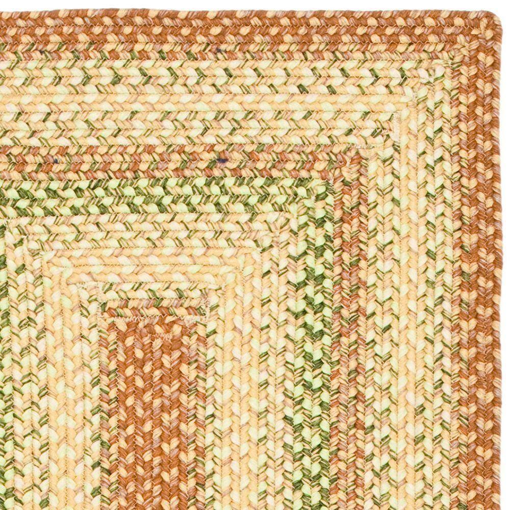 Braided BRD303 Hand Woven Area Rug - Rust/Multi - 4'x6' - Safavieh.