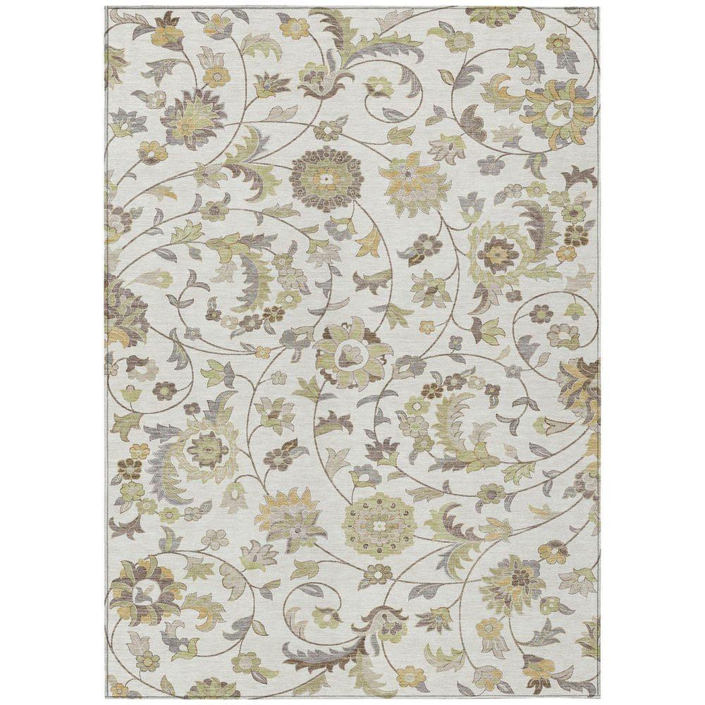 Machine Washable Indoor/Outdoor Chayden ACN1006 Ivory Rug