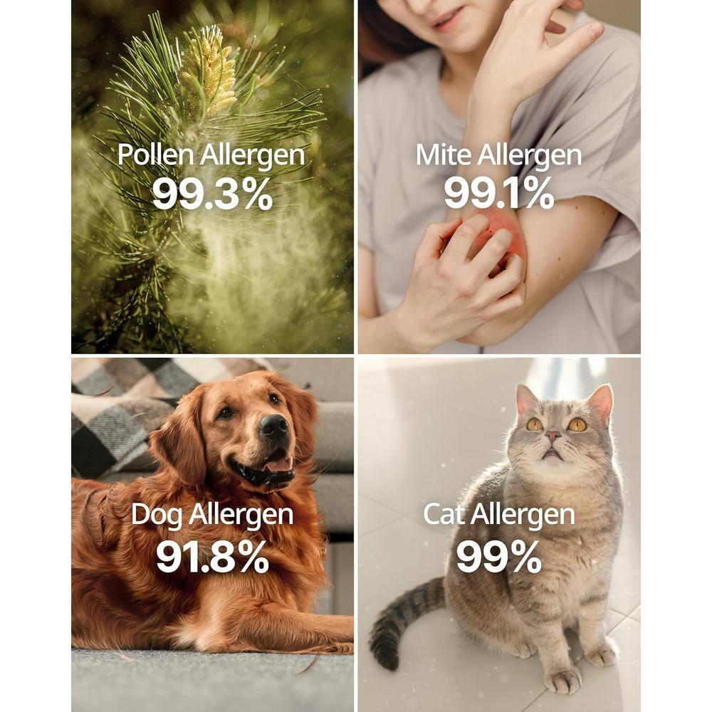 COWAY AP-1512HH & 200M Air Purifier Filter Replacement, Allergen Filter Pack, 2 Allergen Deodorization Filters and 1 True HEPA Filter