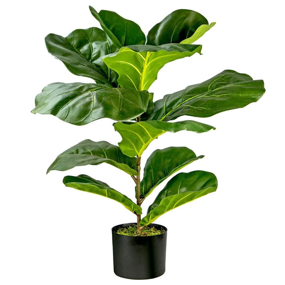 LCG Florals 30" Artificial Fiddle Leaf Fig Bush in Plastic Black Pot