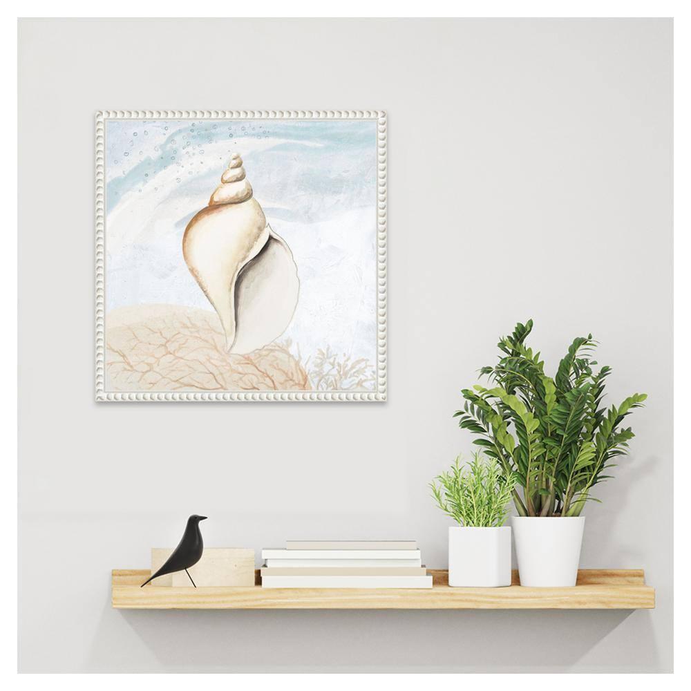 Amanti Art Ocean Oasis Tropical Seashell I by Patricia Pinto Canvas Wall Art Print Framed 16 x 16-in.