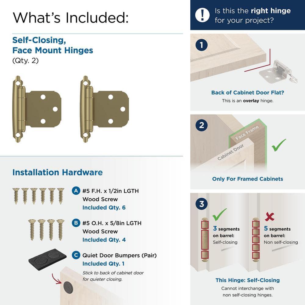 Face Mount Overlay Hinge