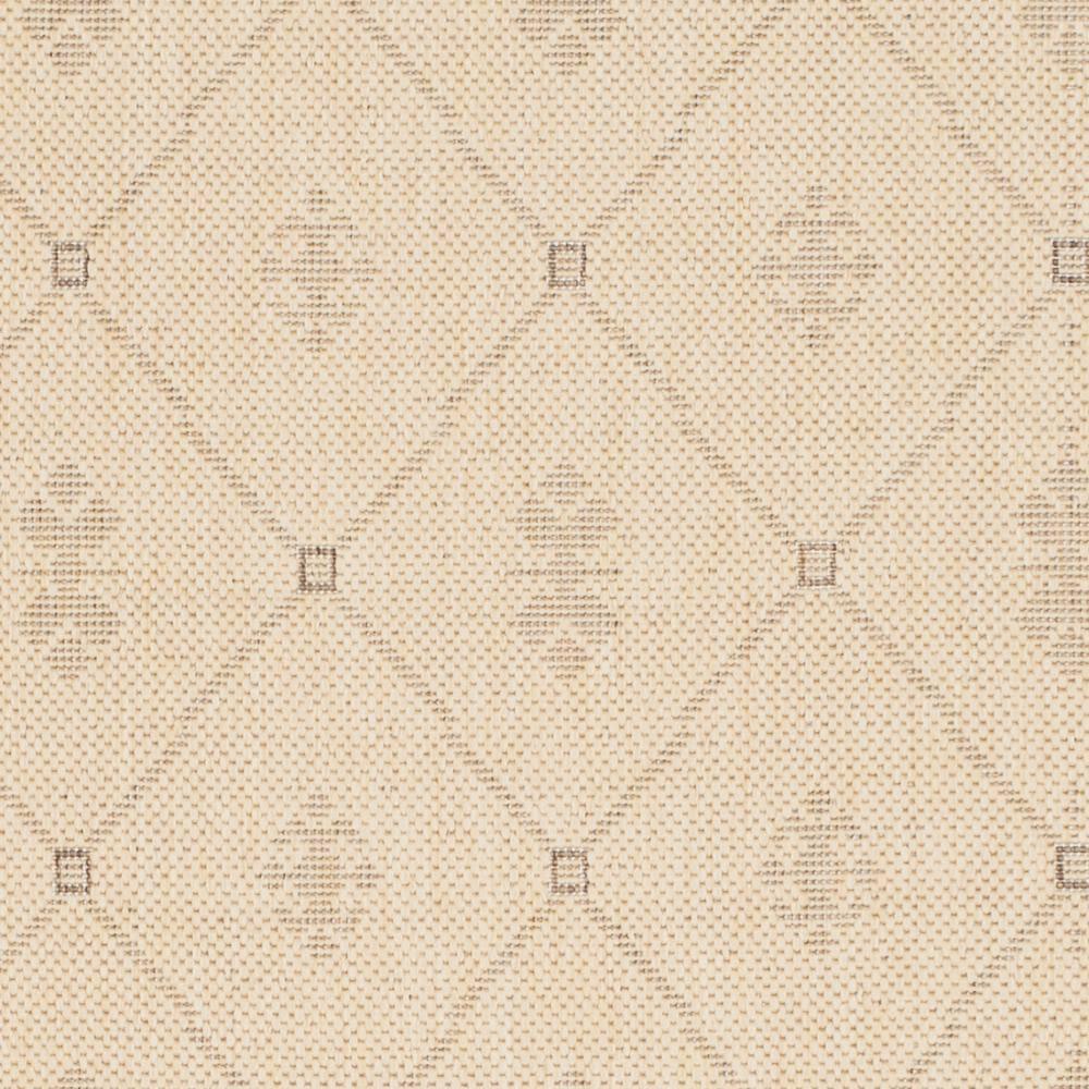 Safavieh Performance Oriental Rug