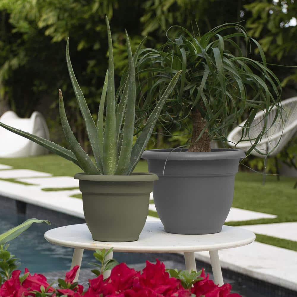 Bloem Ariana 12 in. D Polyresin Planter Charcoal