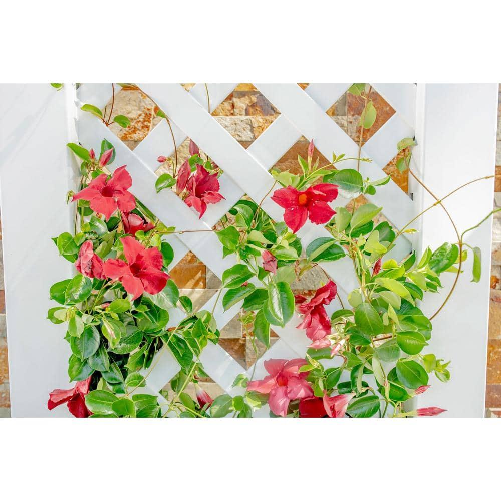 Classic White Vinyl Planter Box with Trellis, 65" Tall