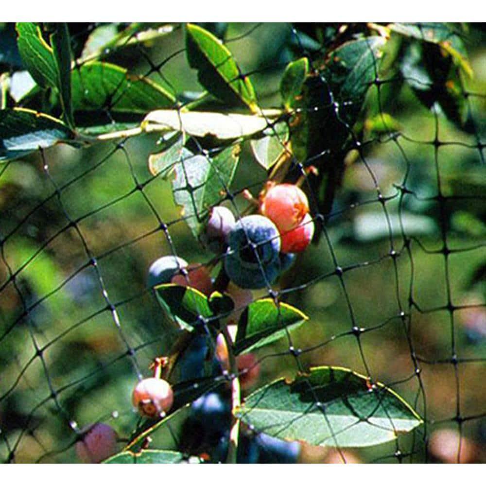 Bird-X NET-STD-200-14 Bird Net Standard