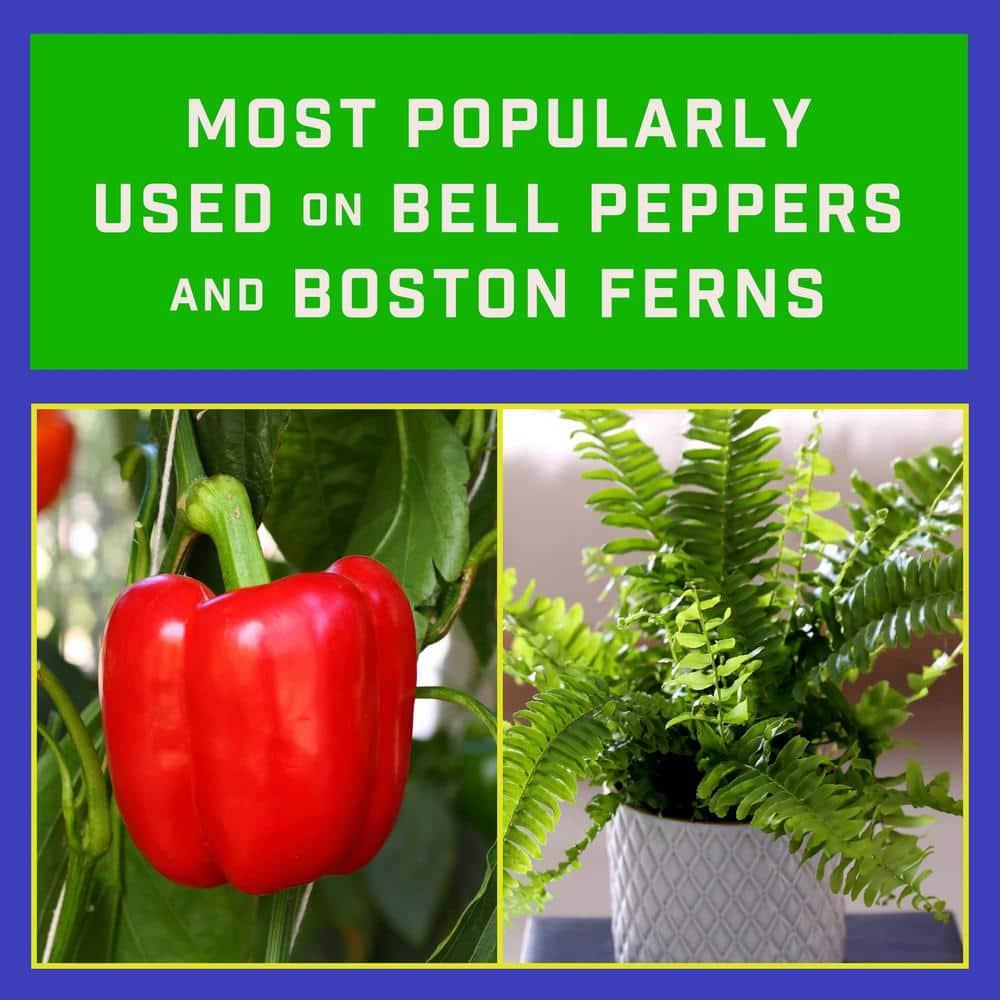 Pennington Epsom Salt Plant Food Fertilizer, 7 lb.