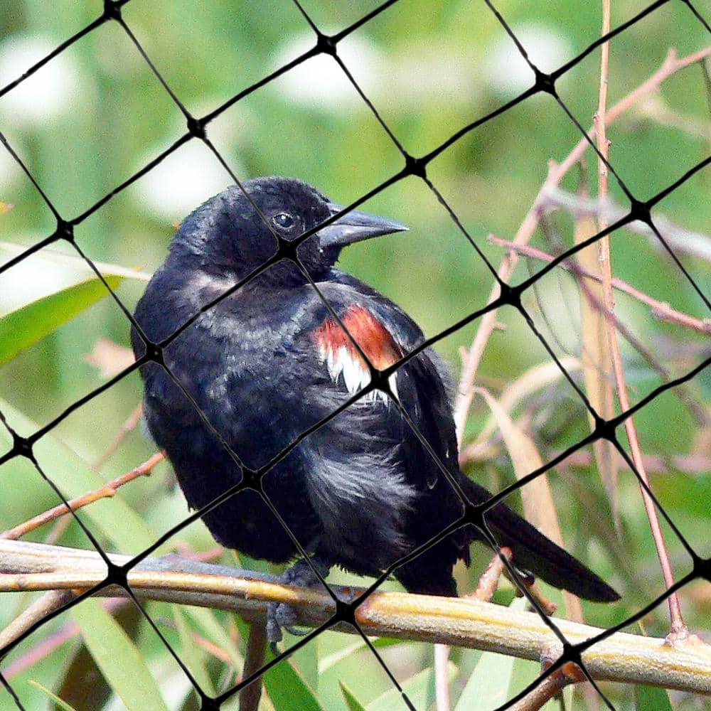Bird-X NET-STD-200-14 Bird Net Standard