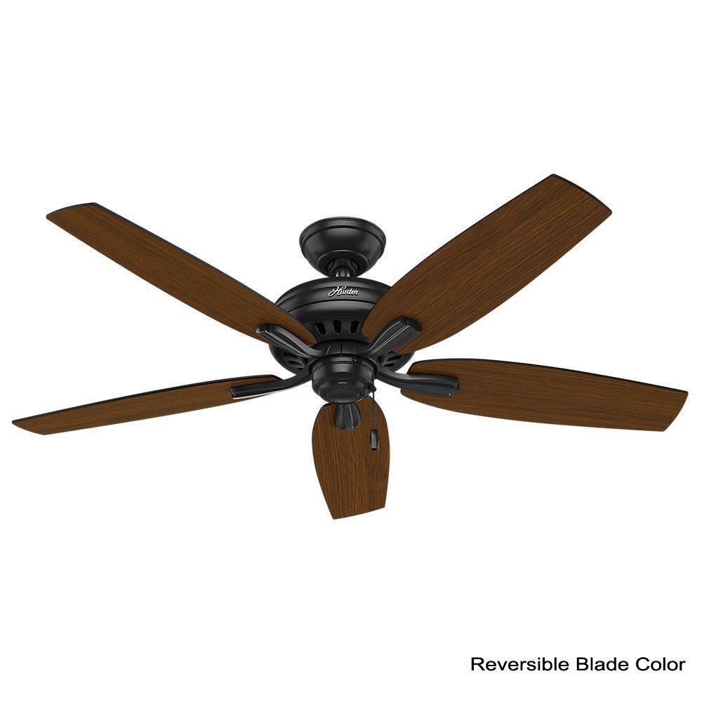 52" Newsome 5 - Blade Outdoor Standard Ceiling Fan with Pull Chain