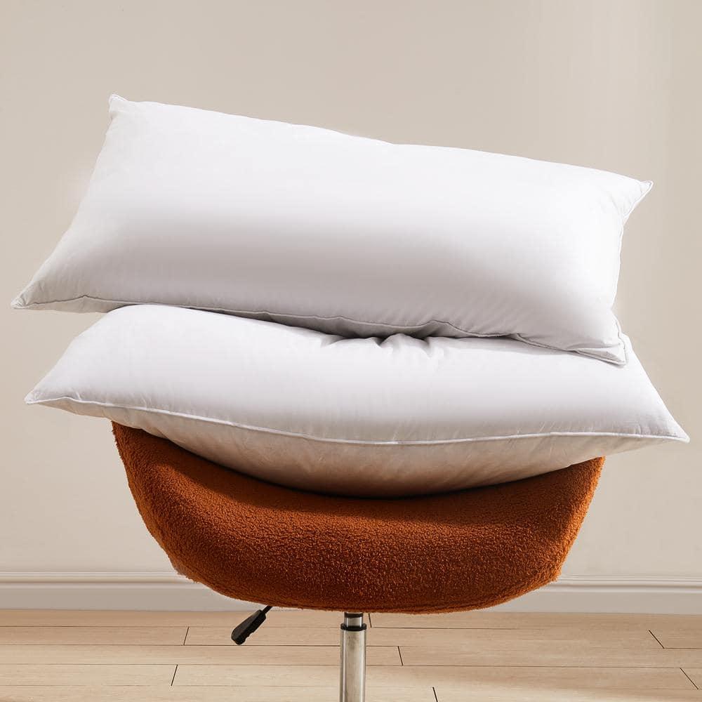 puredown® Goose Feathers Bed Pillows, 100% Cotton Cover, Queen Size Hotel Collection Pillows Set of 2 for Sleeping with Silver Piping, Feather and Polyester Filling