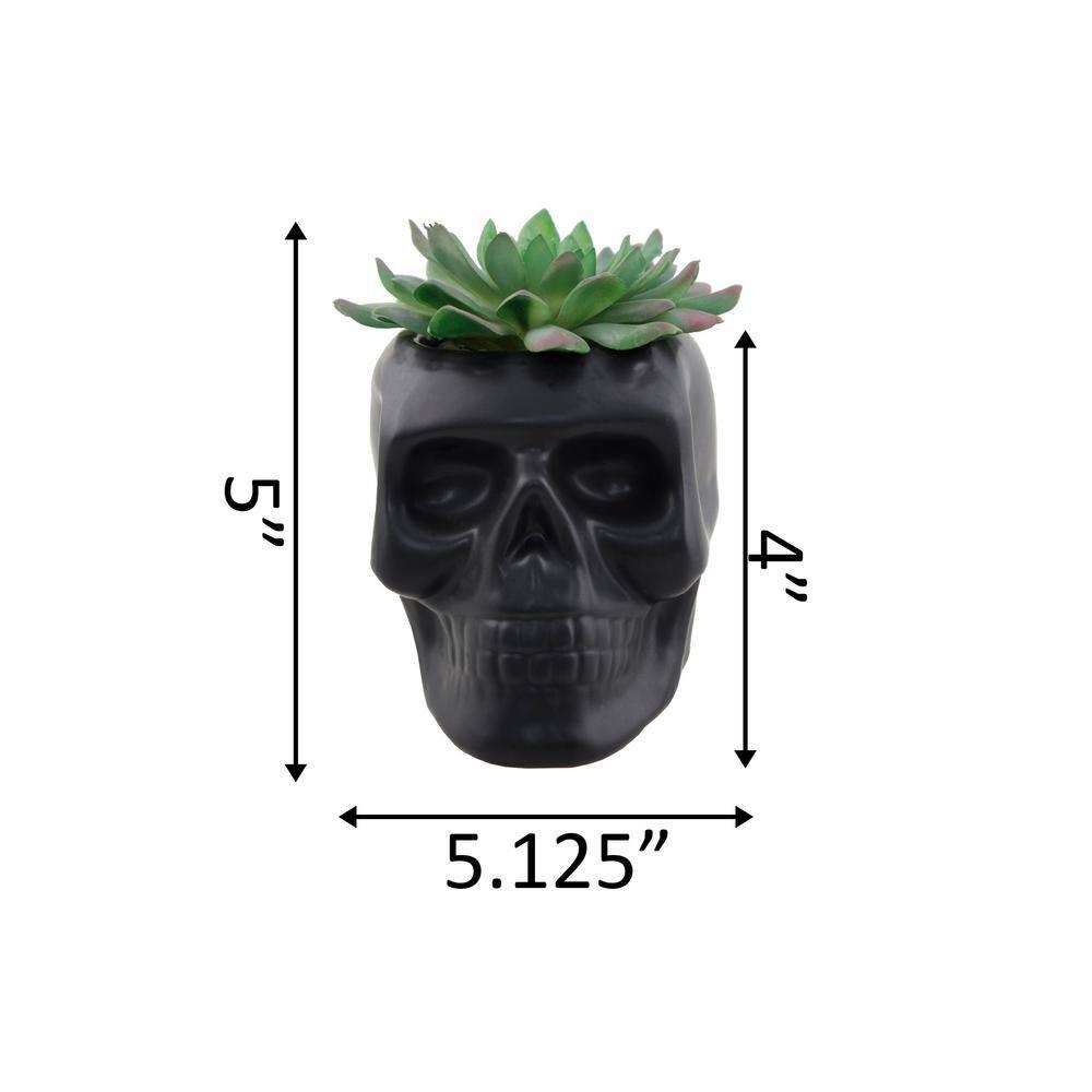 Matte Black Ceramic Day Of The Dead Ghastly Skull Planter Bowl Pot Figurine