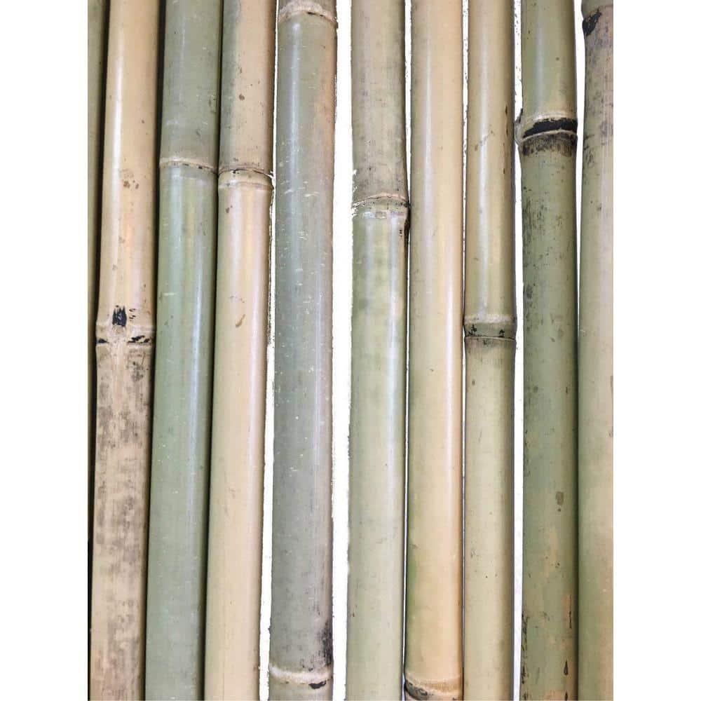 MGP Bamboo Border Fencing
