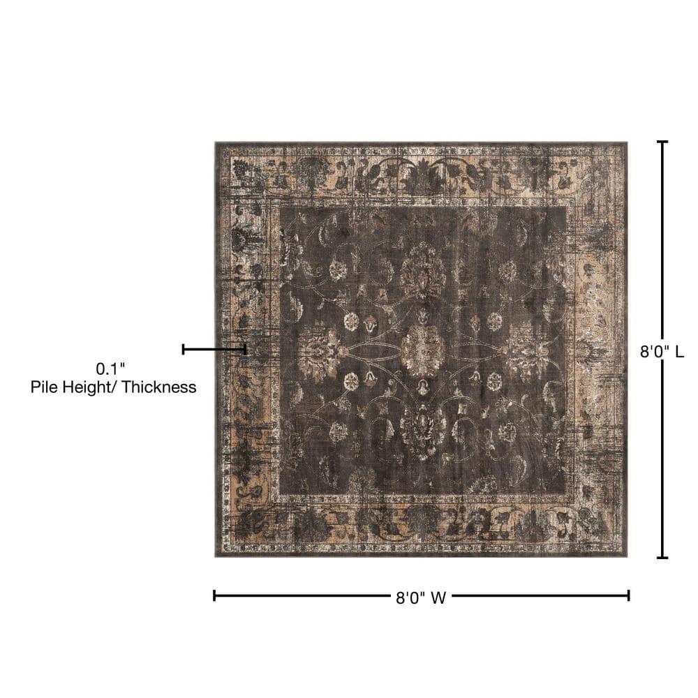 SAFAVIEH Vintage Jaxon Traditional Area Rug, Soft Anthracite, 8' x 8' Square