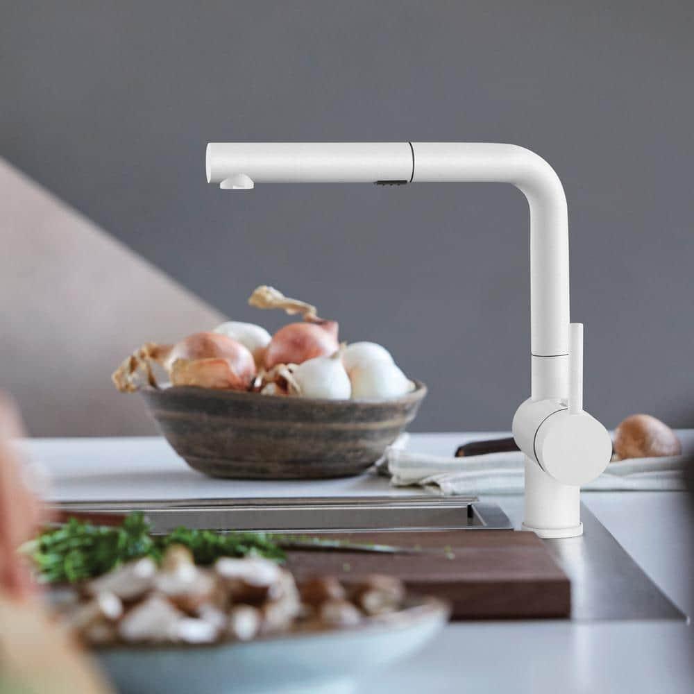 Linus Pull Out Dual Spray Kitchen Faucet