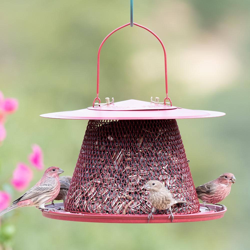Perky-Pet Red Cardinal Wild Bird Feeder - 2.5 lb Capacity