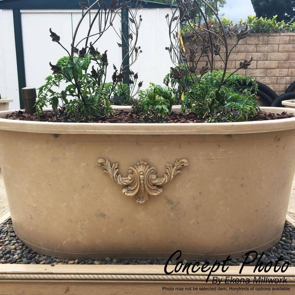 Ekena Millwork 19 1/4"W x 5 3/8"H x 7/8"P Small Grape and Leaf Center with Scrolls Onlay