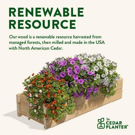 Greenes Fence Greenes Fence Cedar Wood Planter Box Wood Planter Box