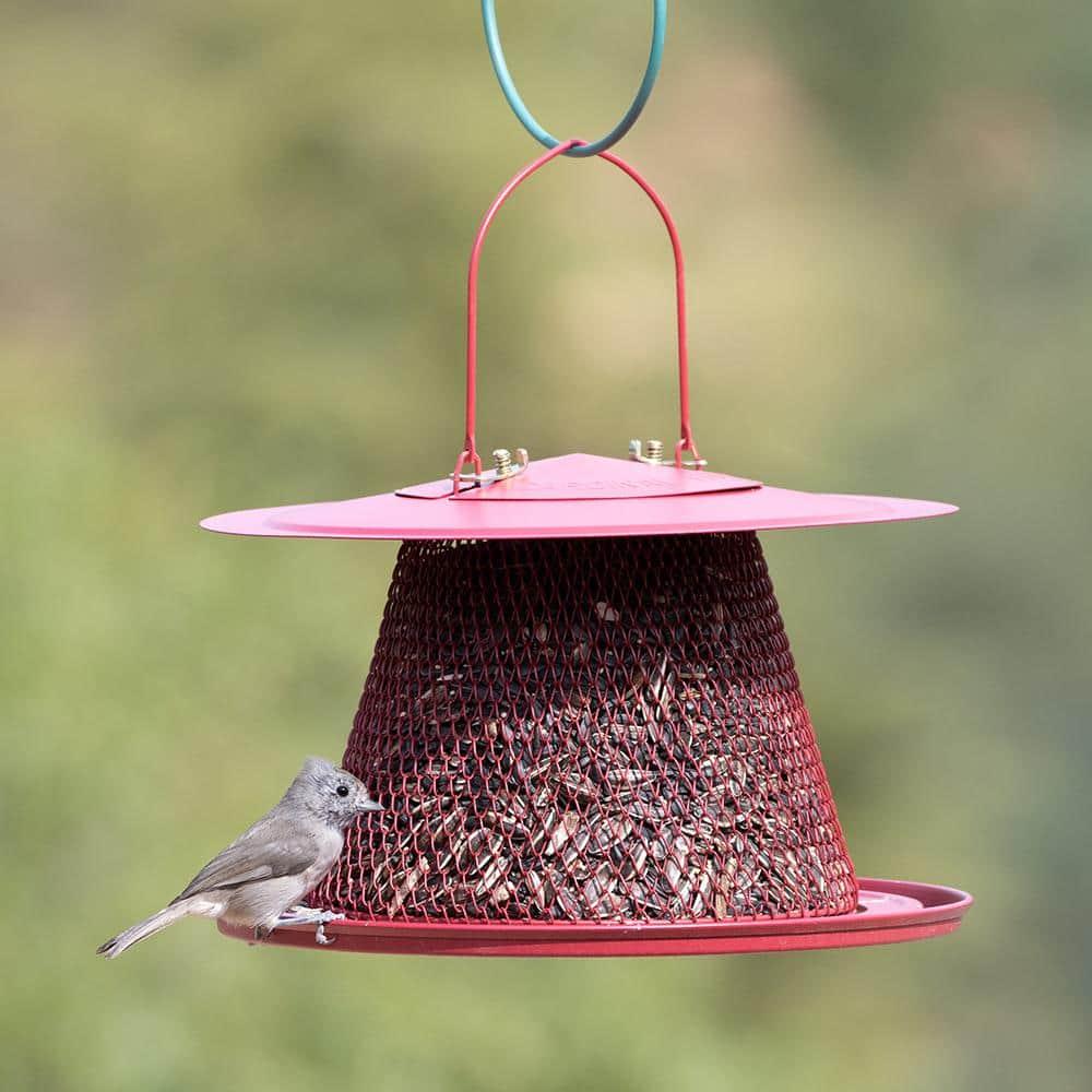 Perky-Pet Red Cardinal Wild Bird Feeder - 2.5 lb Capacity