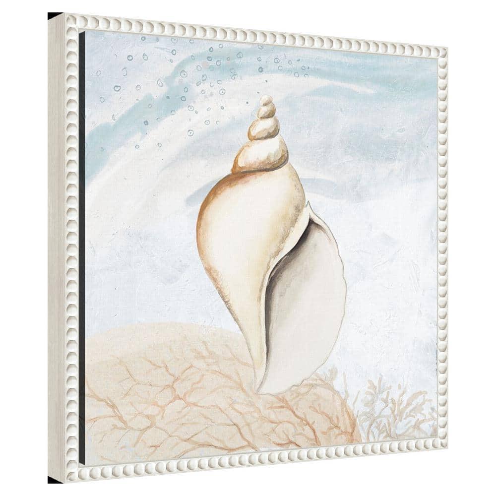 Amanti Art Ocean Oasis Tropical Seashell I by Patricia Pinto Canvas Wall Art Print Framed 16 x 16-in.