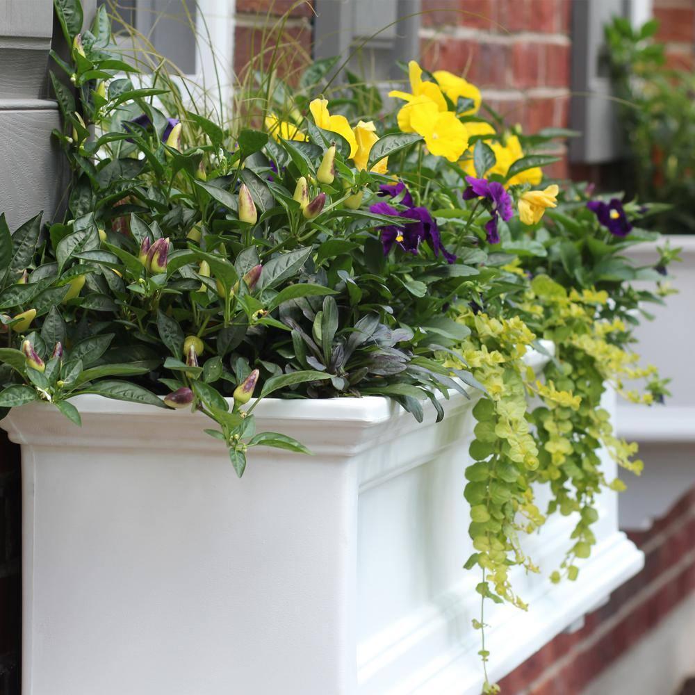 Mayne Inc. Anastasiya Resin Window Box Planter with Water Reservoir