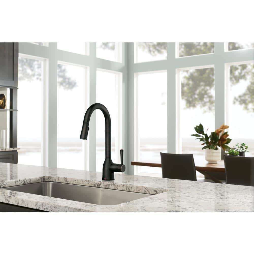 Adler Pull Down Single Handle Kitchen Faucet with Accessories