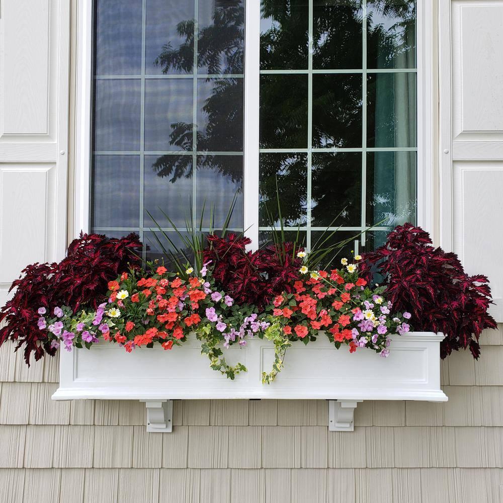 Mayne Inc. Anastasiya Resin Window Box Planter with Water Reservoir